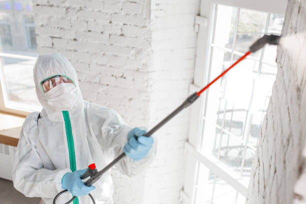 Best Asbestos and Lead Testing During Mold Inspection  in Seffner, FL