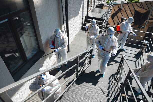 Best Mold Remediation for Healthcare Facilities  in Seffner, FL