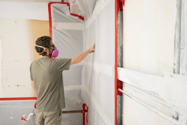 Best Comprehensive Air Testing for Mold Contaminants  in Seffner, FL