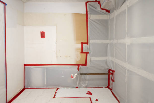 Best Attic Mold Removal  in Seffner, FL
