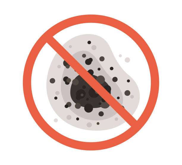 Best Biohazard Mold Removal  in Seffner, FL