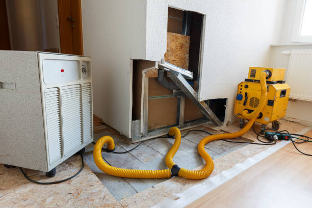 Best Mold Odor Removal Services  in Seffner, FL