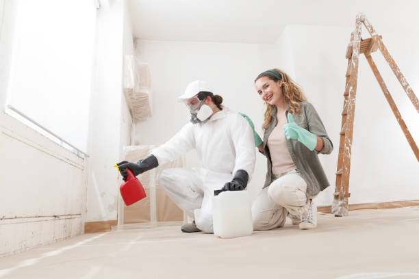 Best Real Estate Mold Inspection  in Seffner, FL