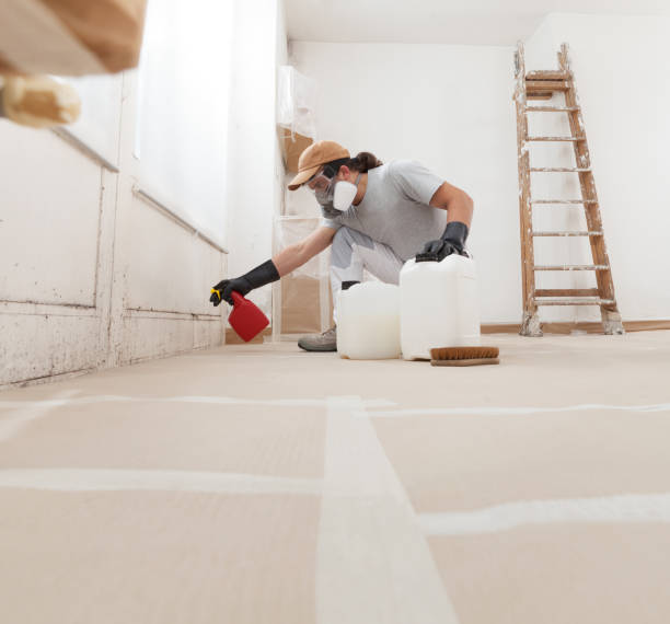 Best Air Quality Testing for Mold Spores  in Seffner, FL