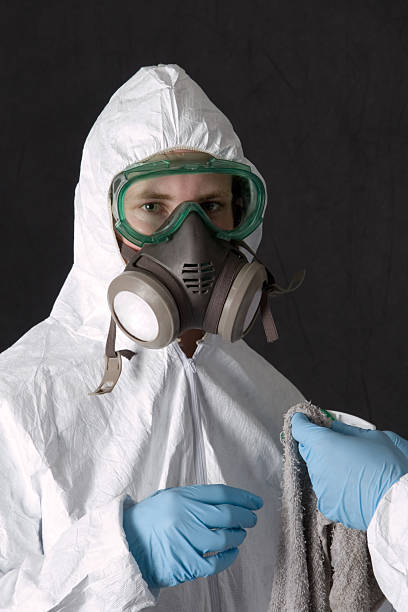 Best Mold Removal for HVAC Installations  in Seffner, FL